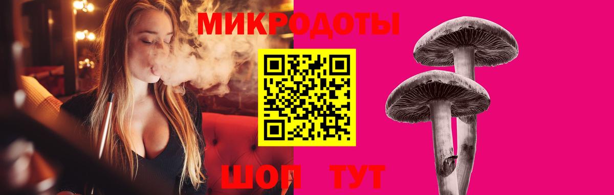 Псилоцибиновые грибы Psilocybine cubensis Саяногорск